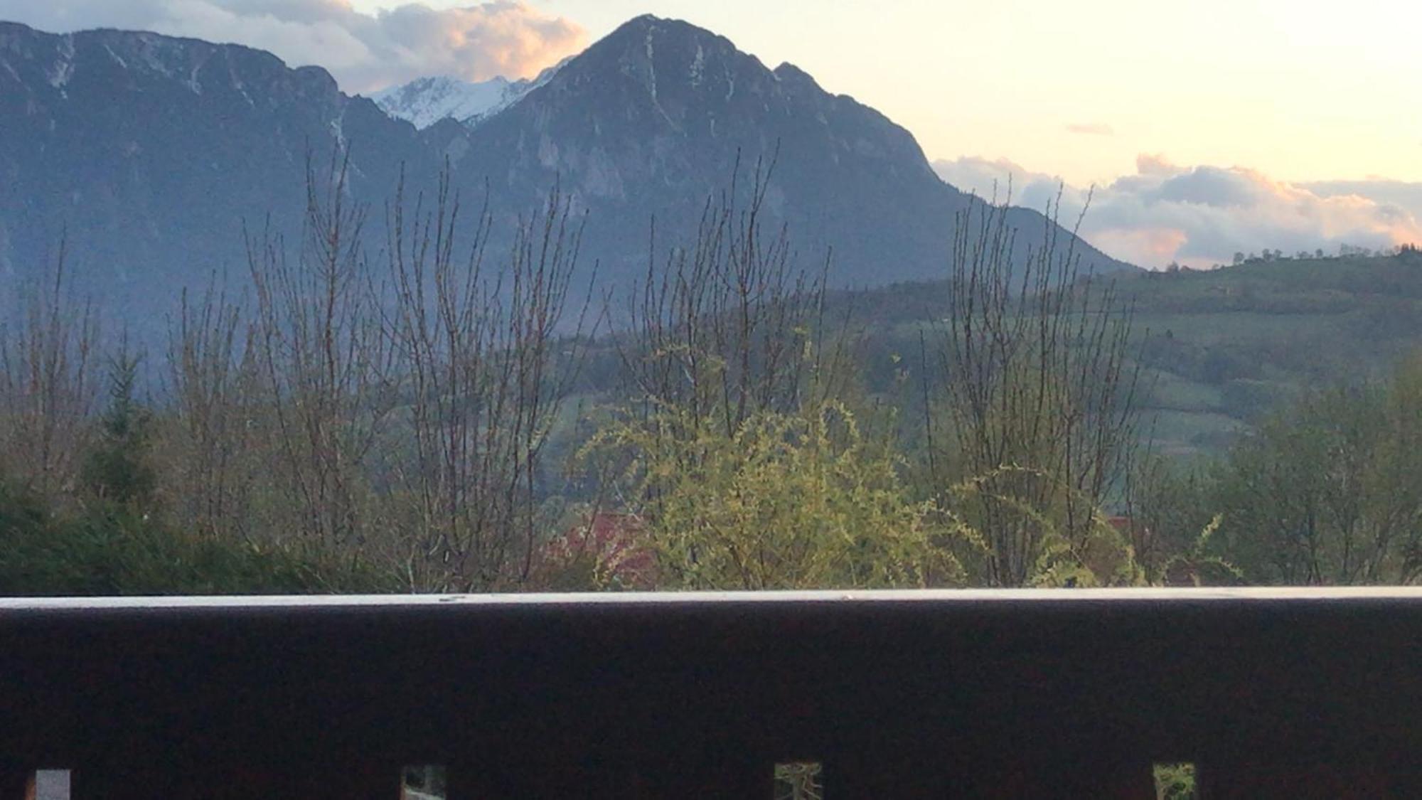 Pension Chalet Poiana Marului Ranch 외부 사진