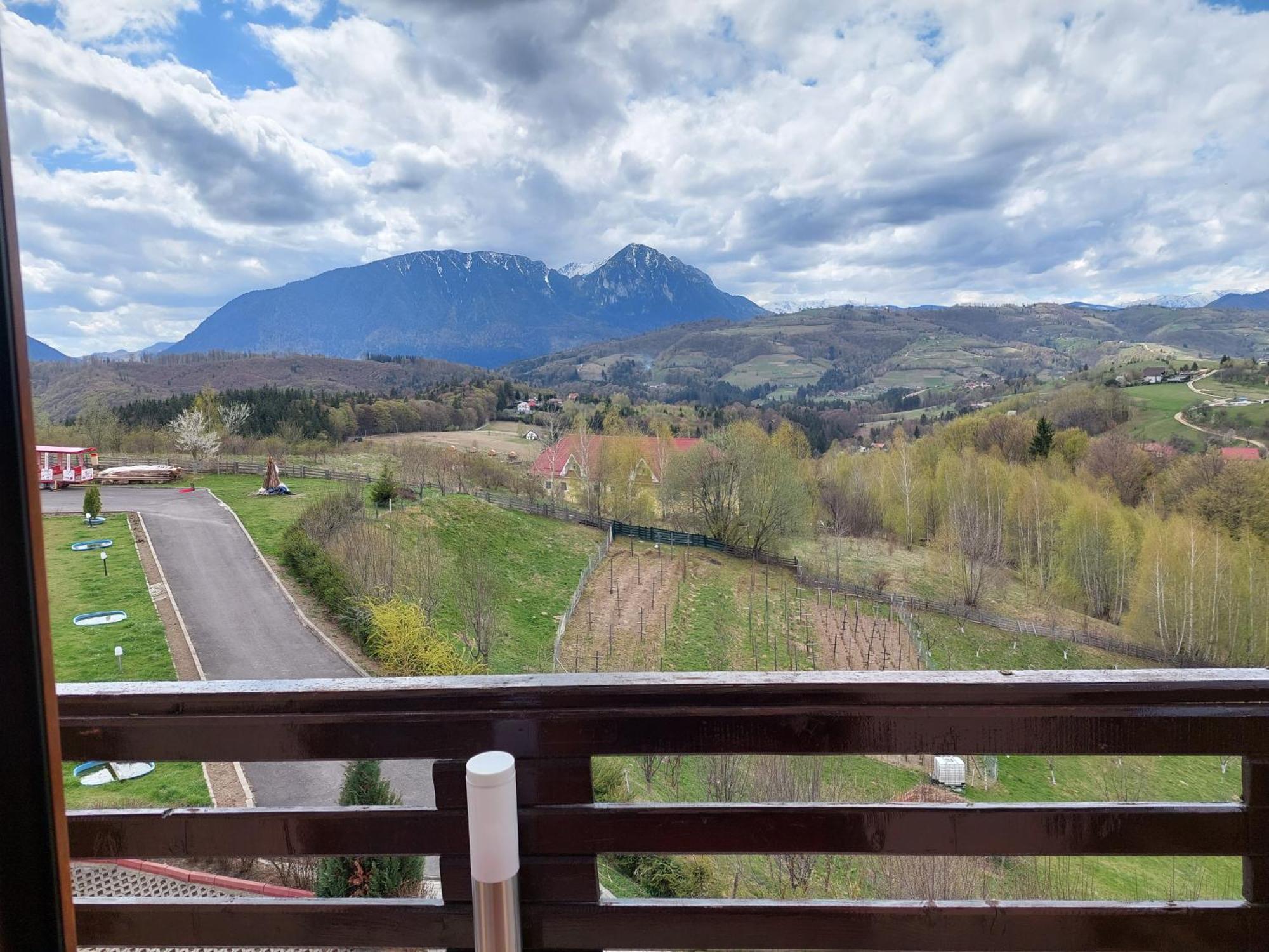 Pension Chalet Poiana Marului Ranch 외부 사진